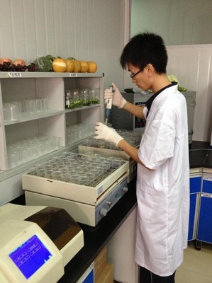 沃爾瑪生鮮配送中心的工作人員正在做農藥殘留檢測。